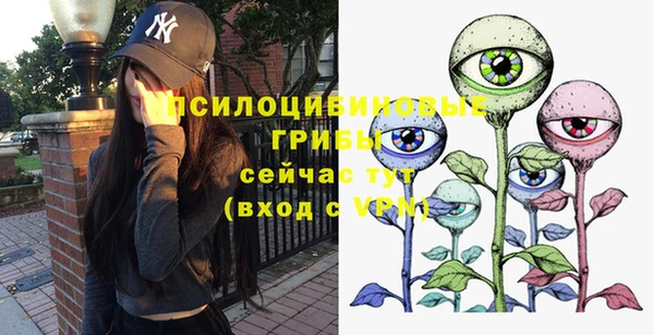 хмурый Покров