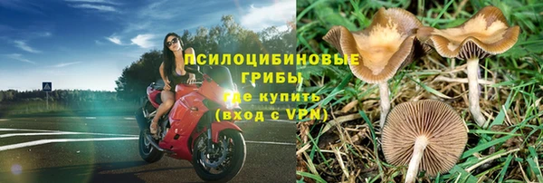 apvp Покачи