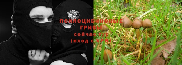 гашик Покровск