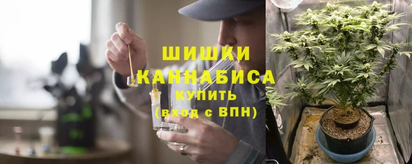 гашик Покровск