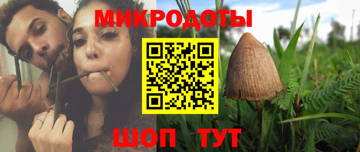 Галлюциногенные грибы прущие грибы Владикавказ